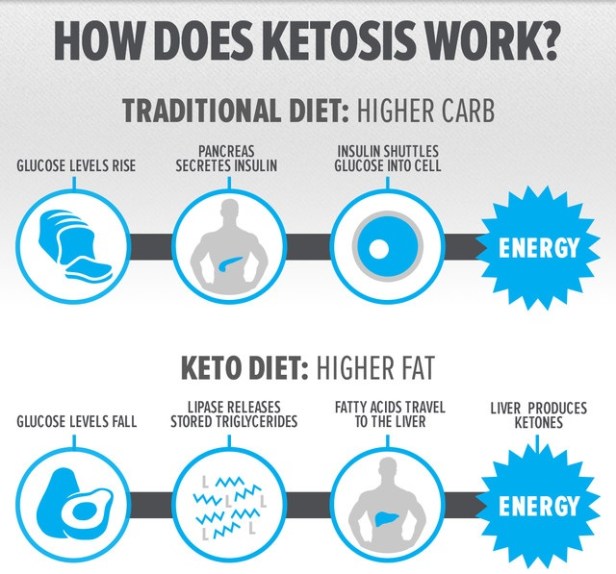 ketogenic-diets-process
