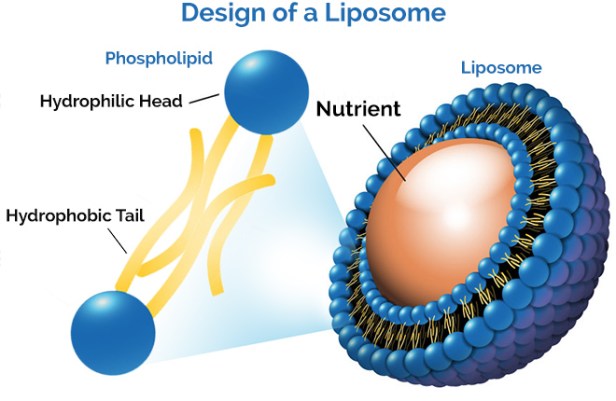liposome-turmeric