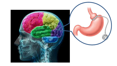Brain-Stomach-Hypnosis (1)