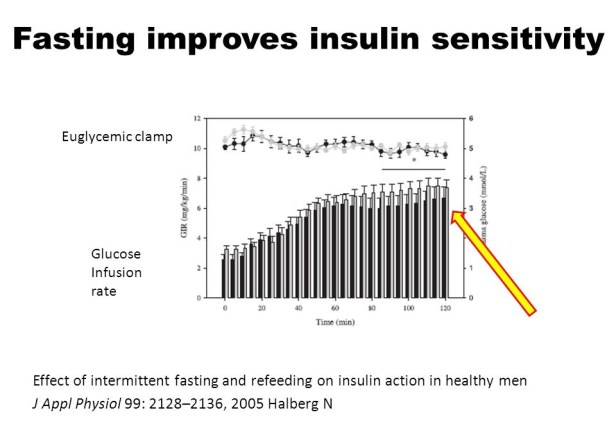 Fasting_improves_insulin_sensitivity