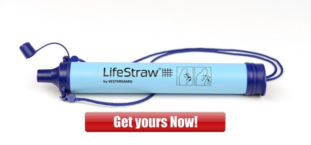 lifestraw
