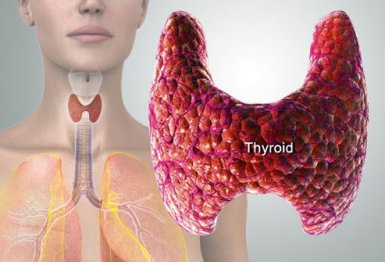 thyroid-slow-symptoms