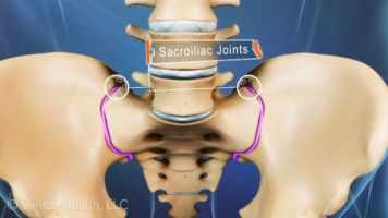 sacroiliac-joints